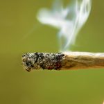 Testbeitrag 2